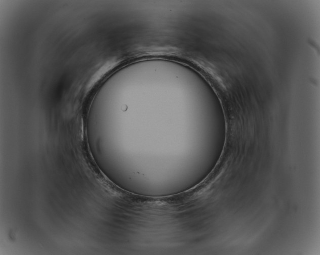 X0000093171317200709261048