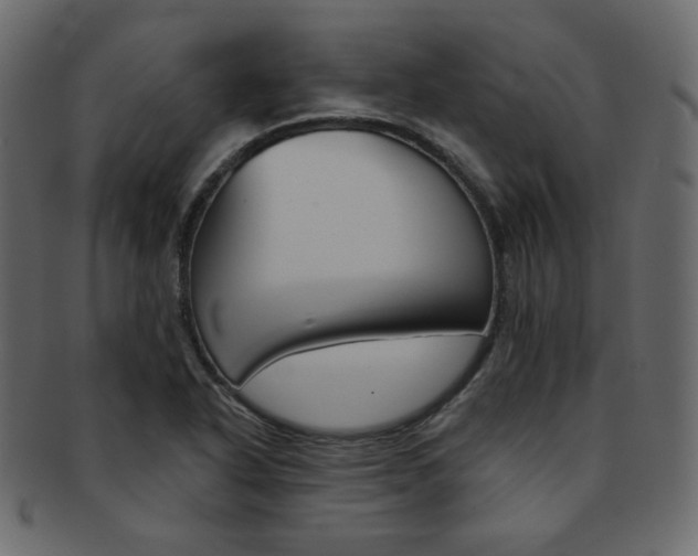 X0000093171318200709261048