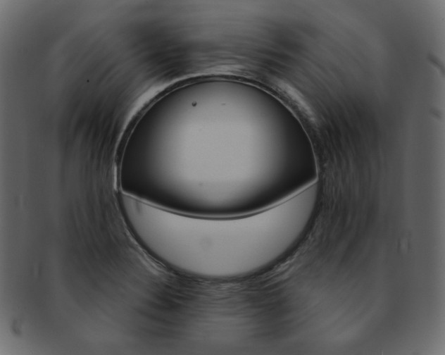 X0000093171324200709261048