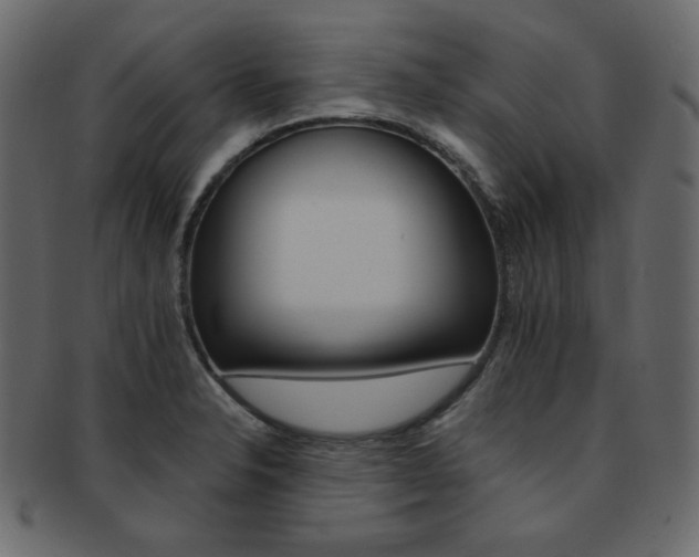 X0000093171326200709261048