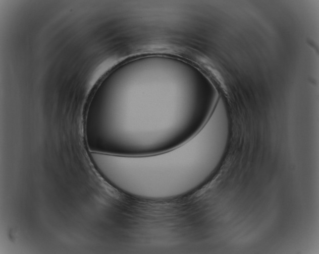X0000093171328200709261048
