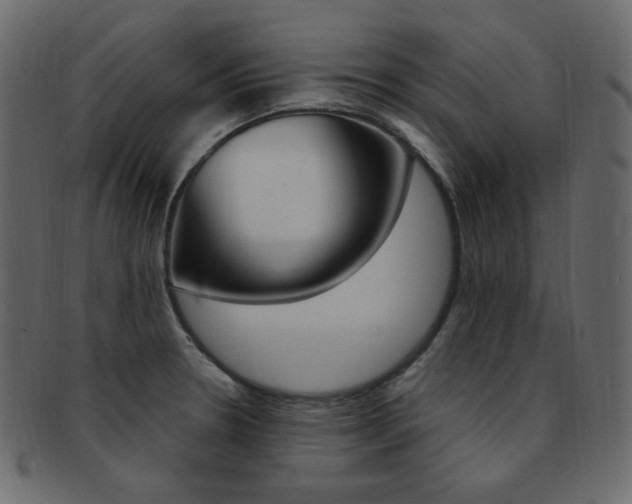X0000093171330200709261048