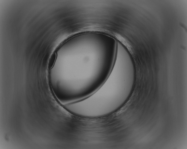 X0000093171334200709261048