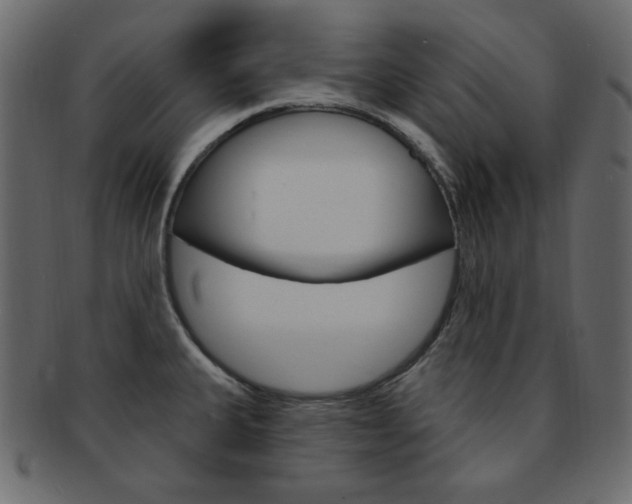 X0000093171335200709261048