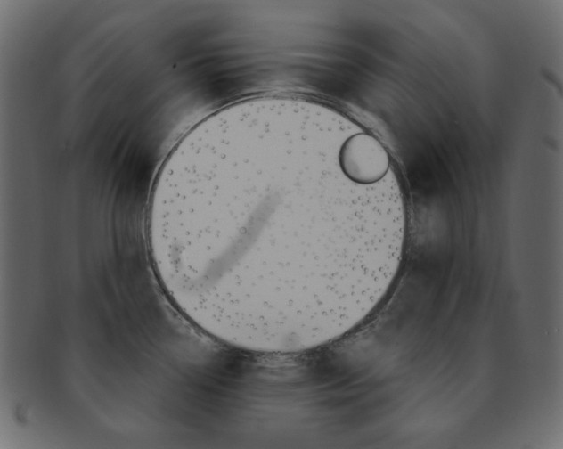 X0000093171338200709261048