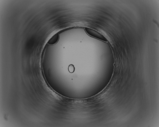 X0000093171339200709261048