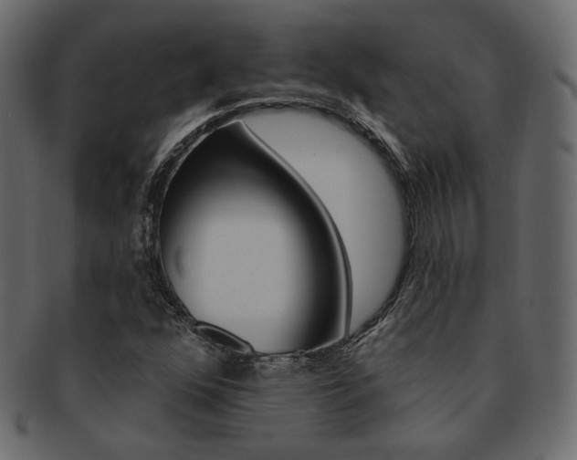 X0000093171352200709261047