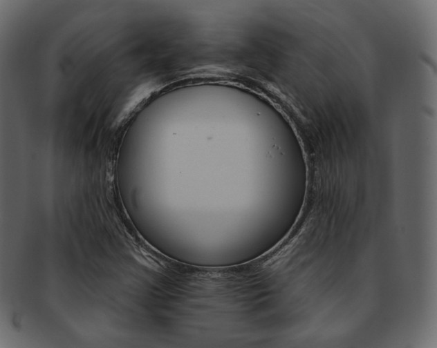 X0000093171355200709261047