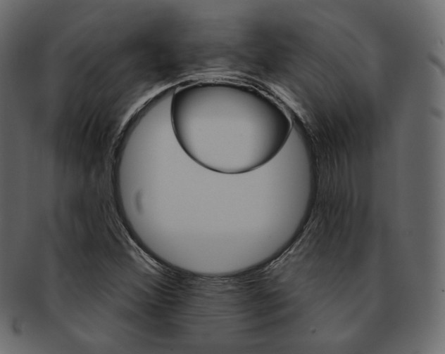 X0000093171356200709261047