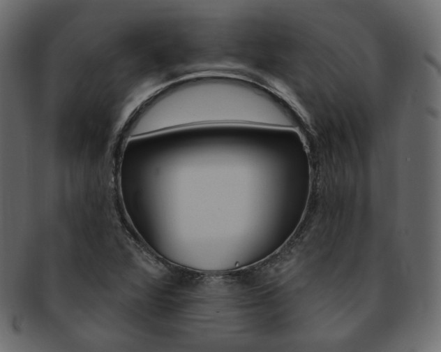 X0000093171360200709261047
