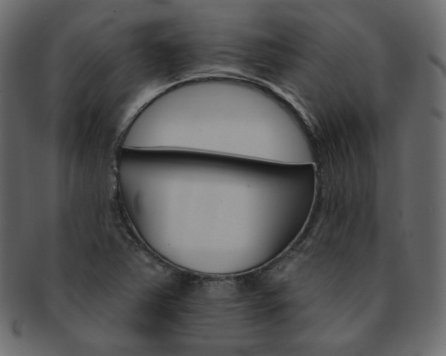 X0000093171363200709261047