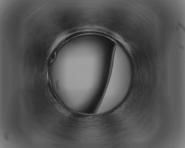X0000093171368200709261047