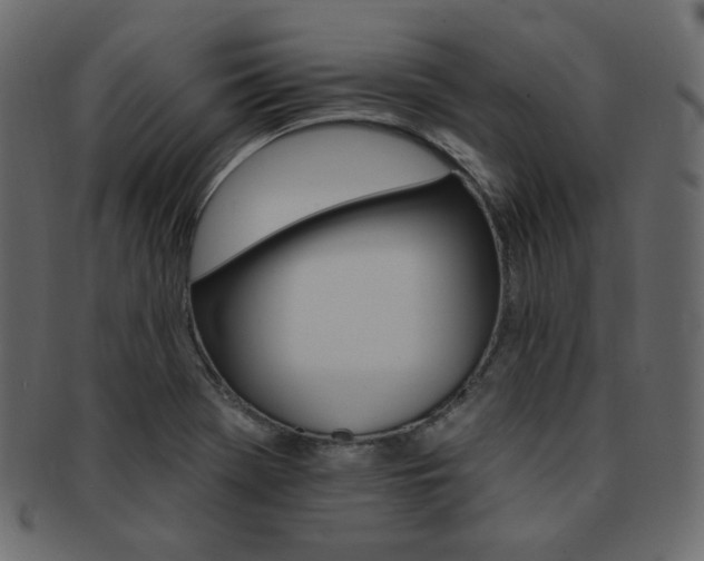 X0000093171369200709261047