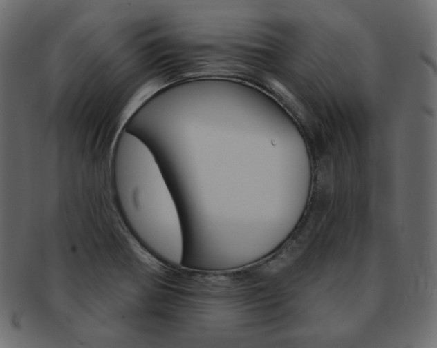 X0000093171370200709261047
