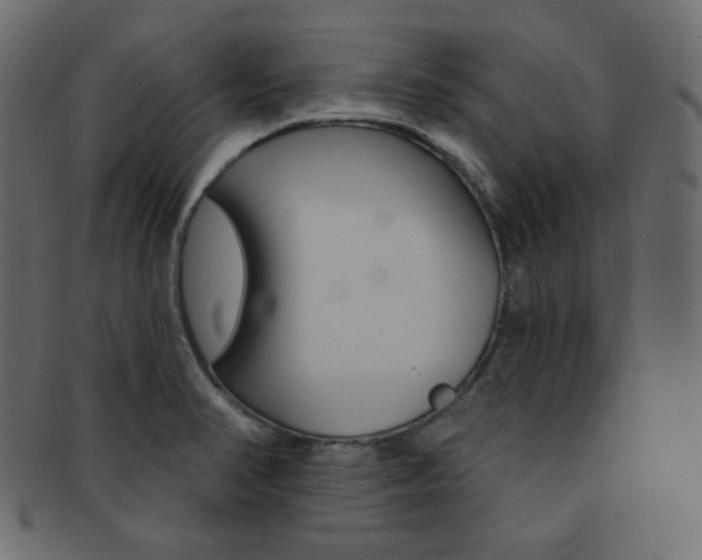X0000093171374200709261047