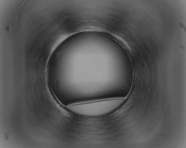 X0000093171375200709261047