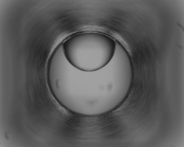X0000093171376200709261047