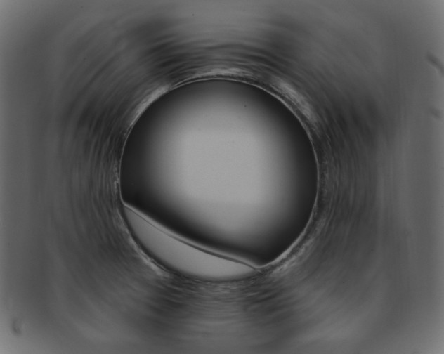 X0000093171377200709261047