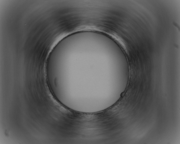 X0000093171382200709261047