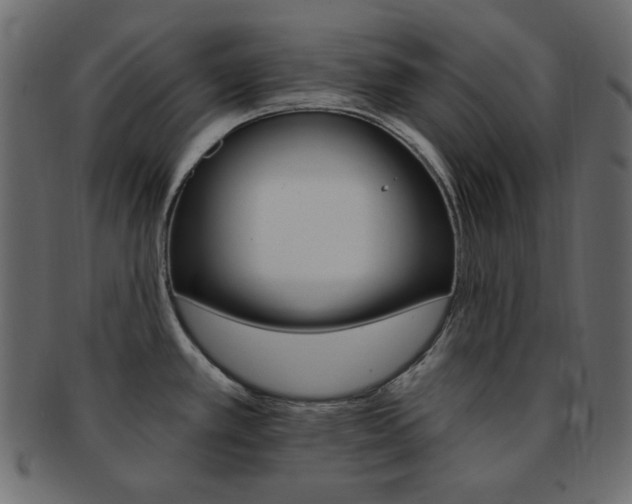 X0000093171389200709261047