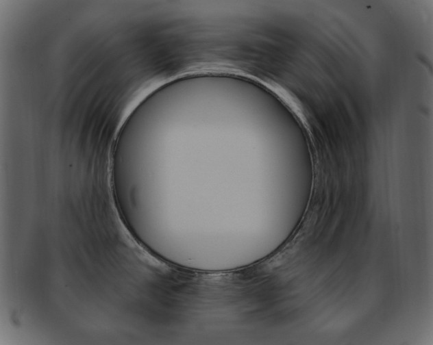 X0000093171390200709261047