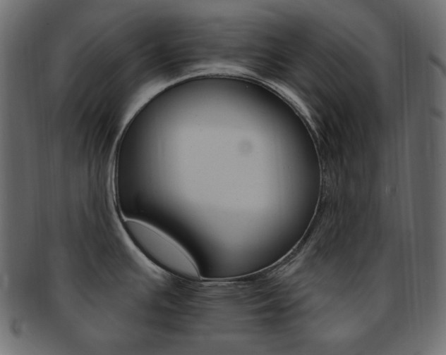 X0000093171391200709261047