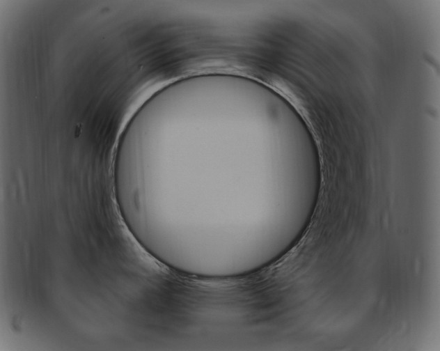 X0000093171392200709261047