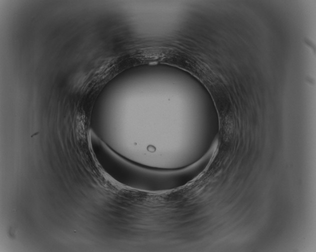 X0000093171394200709261046
