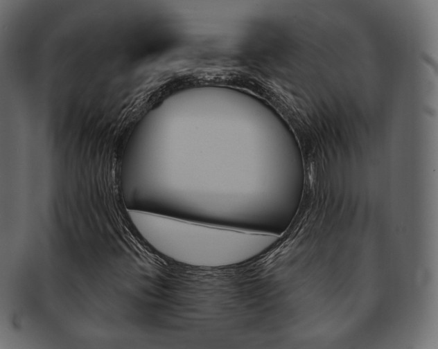 X0000093171396200709261046