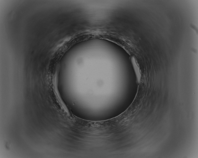 X0000093171398200709261046