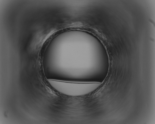 X0000093171400200709261046