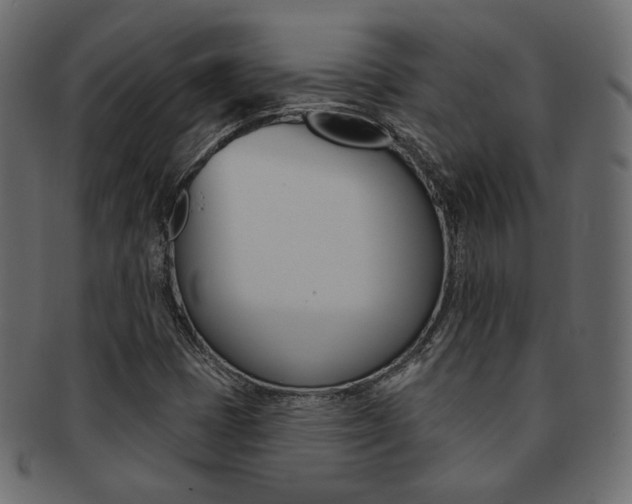 X0000093171401200709261046