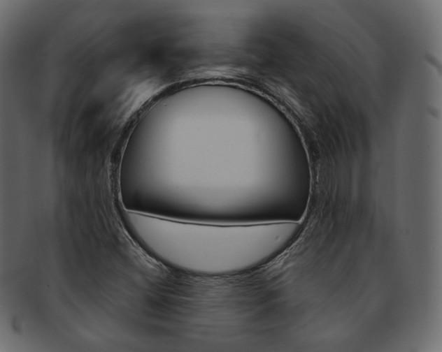 X0000093171404200709261047