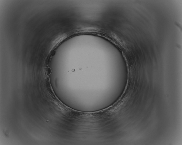 X0000093171405200709261047