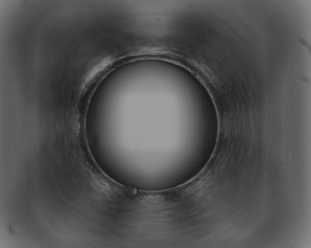 X0000093171406200709261047