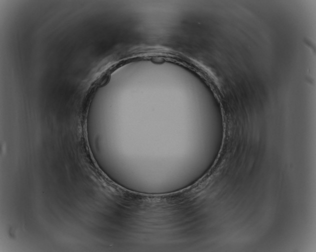 X0000093171407200709261047