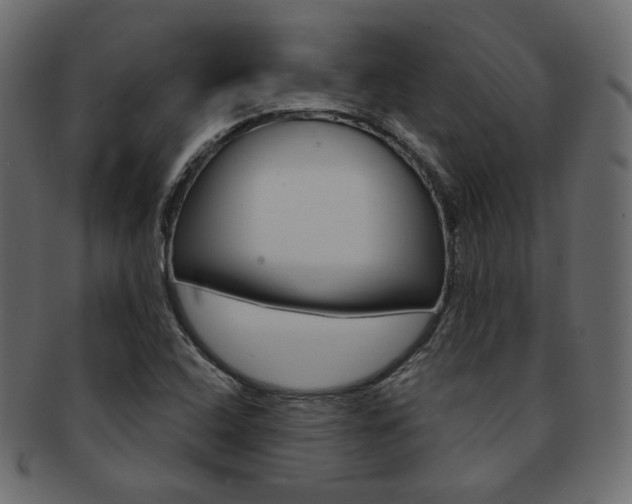 X0000093171408200709261047