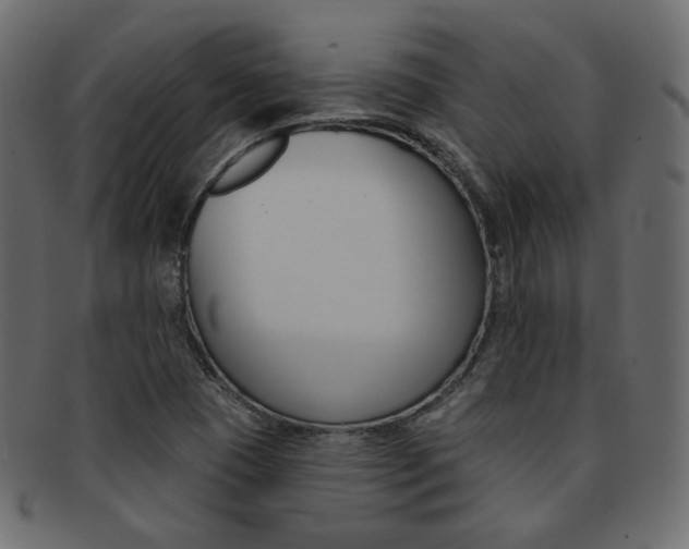 X0000093171409200709261047