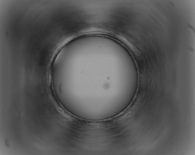 X0000093171413200709261047