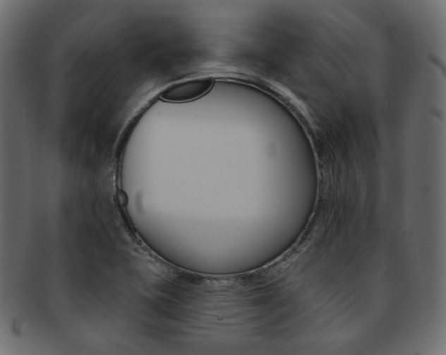 X0000093171415200709261047