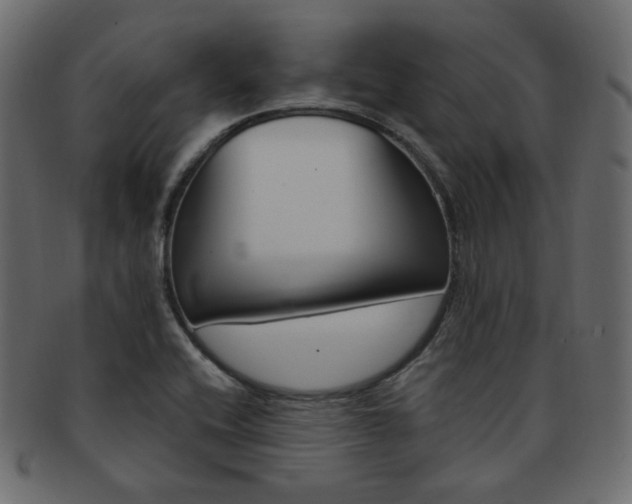 X0000093171416200709261047