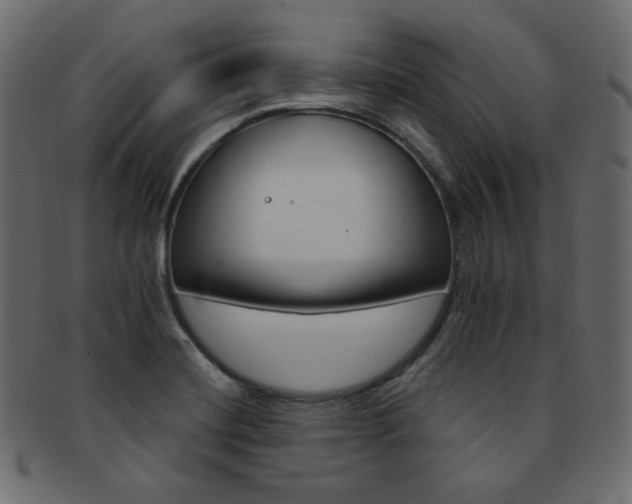 X0000093171420200709261047
