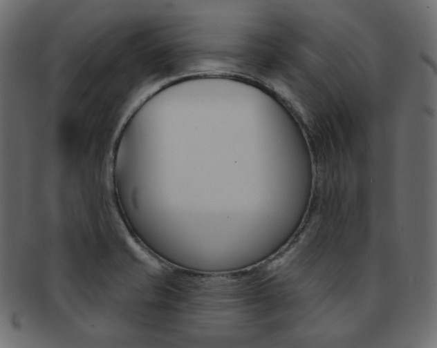 X0000093171421200709261047