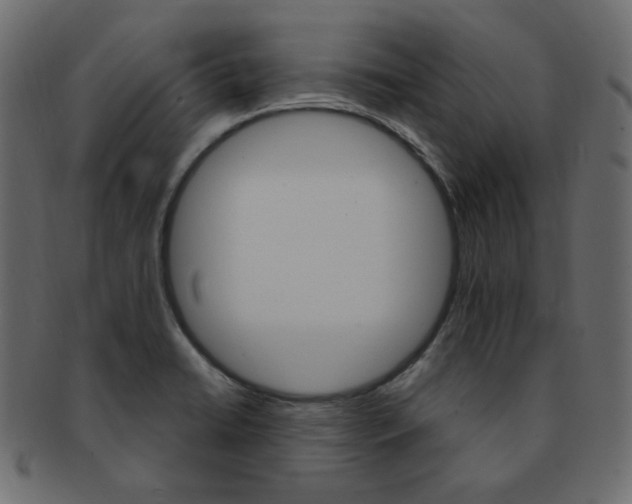 X0000093171422200709261047