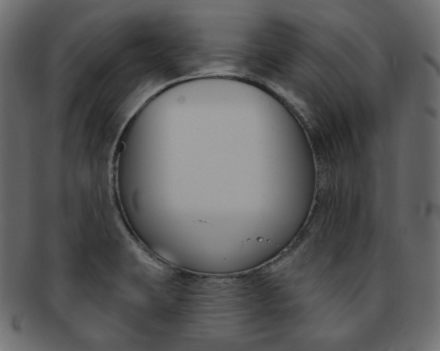 X0000093171423200709261047