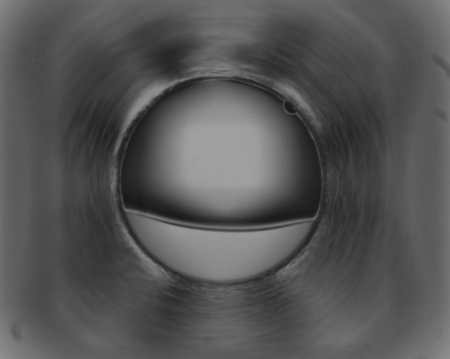 X0000093171424200709261047