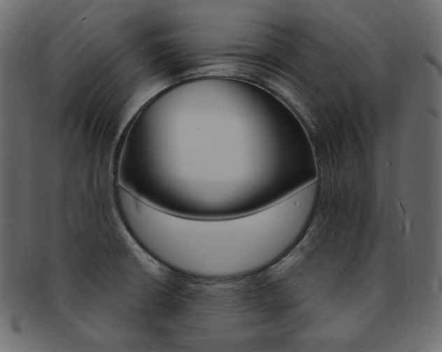 X0000093171426200709261047