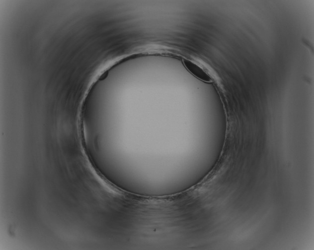 X0000093171429200709261047