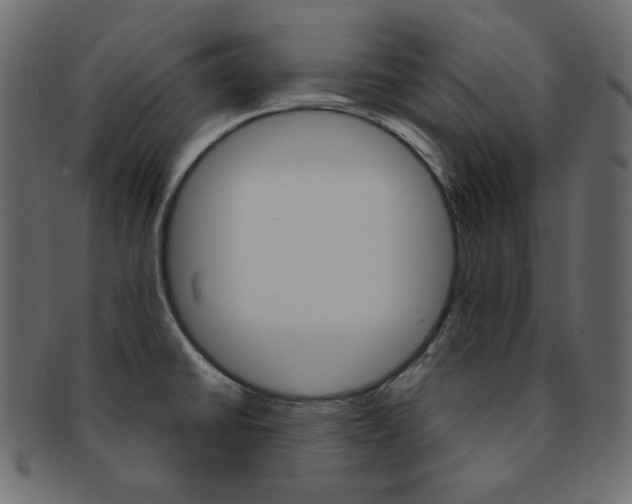 X0000093171430200709261047