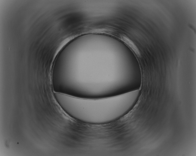X0000093171436200709261047